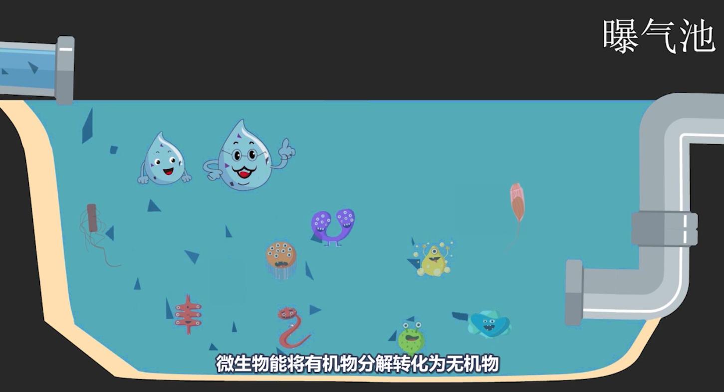 污水的美容之旅-一等獎