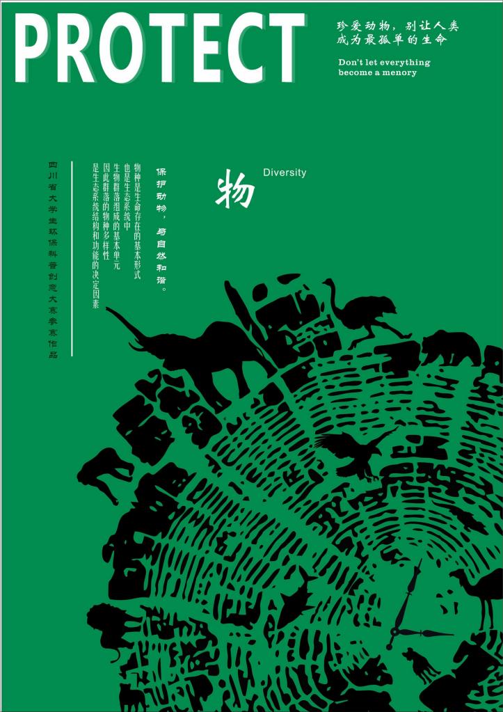 樂山師范學(xué)院-DIVERSITY-三等獎